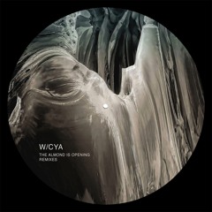 Premiere: W/CYA - Fear Processing (Kaiser Remix) [KSQ075]