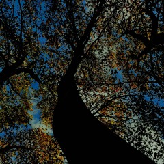 MaTi ByNight And ByDay