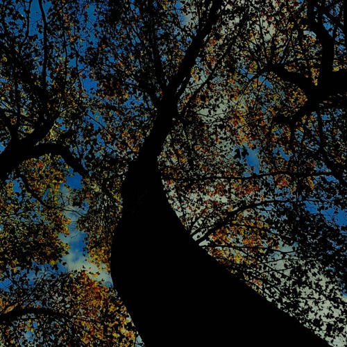 MaTi ByNight And ByDay