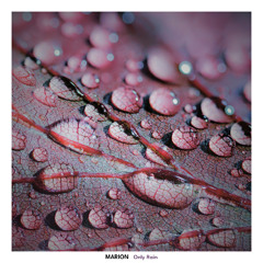 MARION - Only Rain
