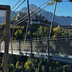 Best of Organic House