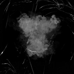 Sneak Dissers {PROD. TylianMTB}