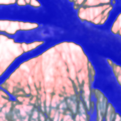 Call for Help (Squint)