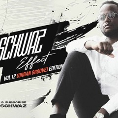 The Schwaz Effect Vol 12 (Urban Groove)