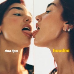 Dua Lipa - Houdini (MDB Remix) [Free DL]