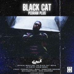 Black Cat [Black Cat Movie Official Song]