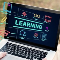 Best lms Platforms
