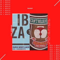 Tube & Berger vs Flo Rida & Pitbull - Can't Believe Who's Jack (BIG J Beats Mashup)