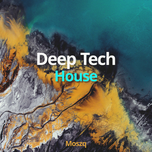 Deep Tech House