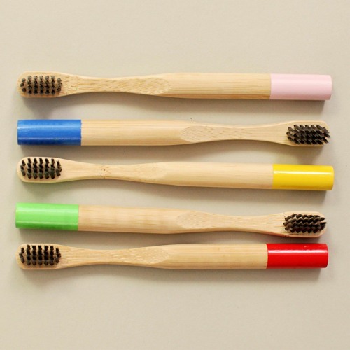 Stream 4 Reasons To Choose Bamboo For Your Babies Toothbrush by Bubba