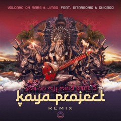 Goa on My Mind, Pt. 2 (Kaya Project Remix) [feat. DJ Chicago & Sitarsonic]