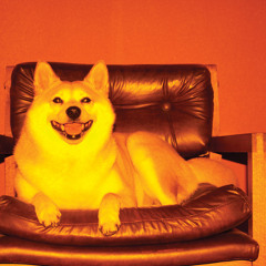 A Sea of Solid Earth