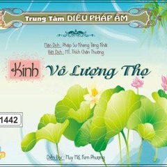 Kinh Vô Lượng Thọ Diễn Đọc - Thích Đức Niệm Dịch
