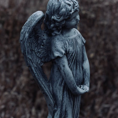 Cherish