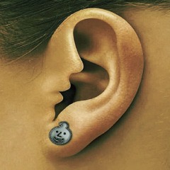 Trc20 (p. curxxedtaimana)