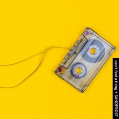 can't feel a thing (blue monday 2022 mix) - Sandfrost