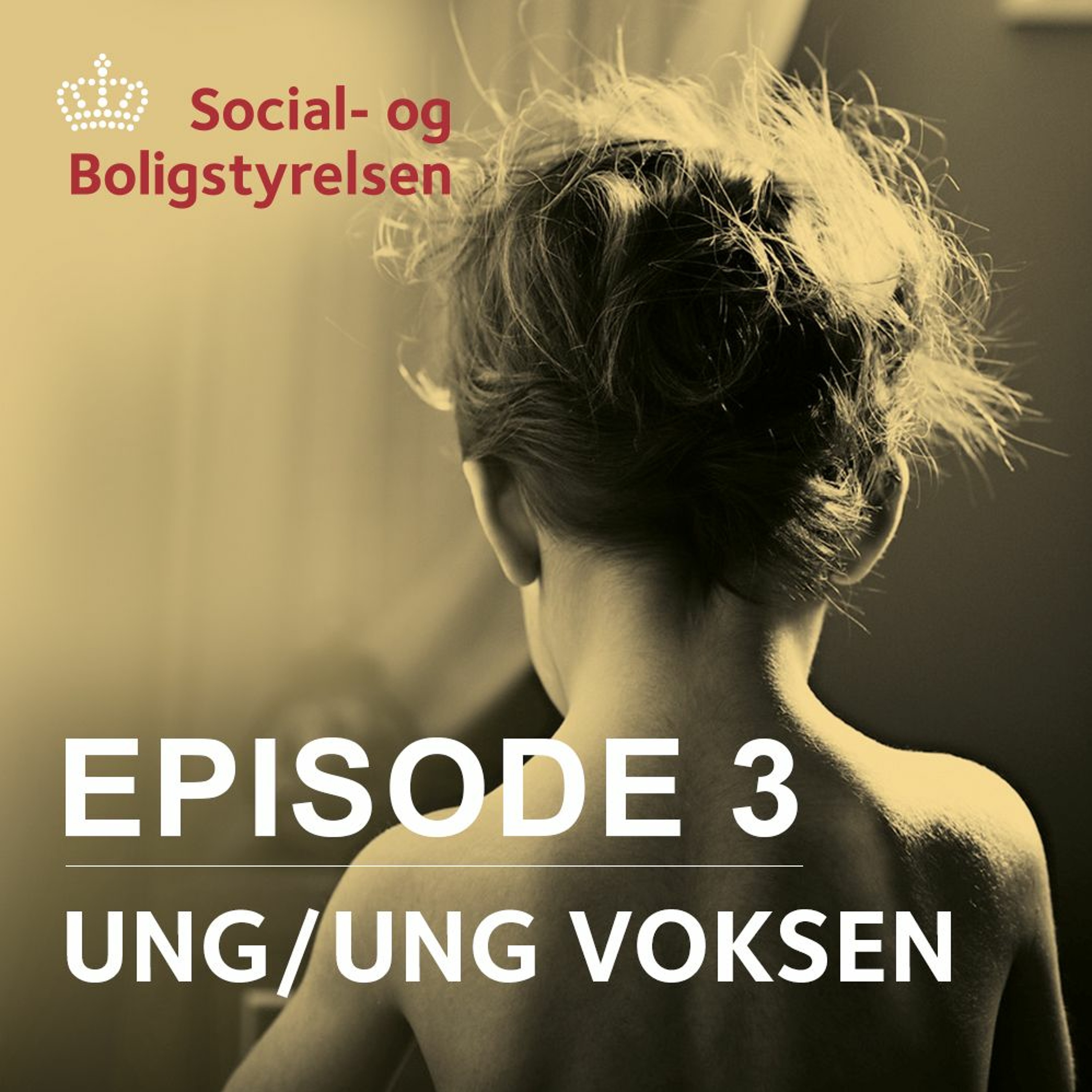 Social- og Boligstyrelsen