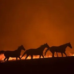 WildFire (Cover by Jonathan and Uncle Andrew)