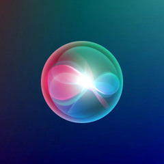 HAZI - SIRI
