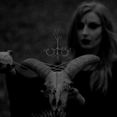 Ols - Widma - 01 - Widma