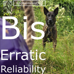 Bis Erratic Reliability