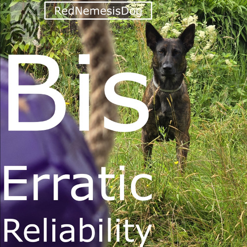 Bis Erratic Reliability