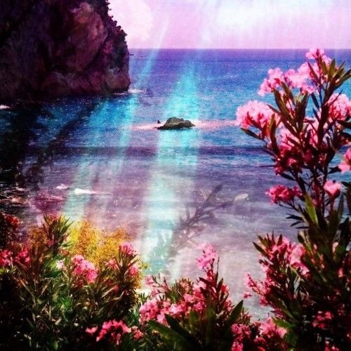 TOKIOSTAR Круиз (snippet)