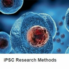 Stem Cells in a New Era of Cell-based Therapies