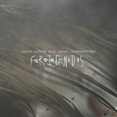 Clean Clowns - Friends