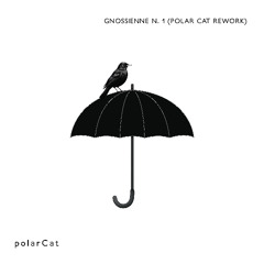 Gnossienne n.1 (Polar Cat rework)