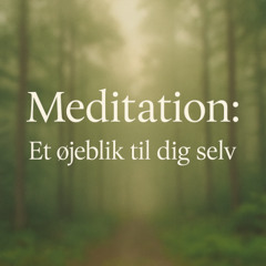 Meditation - Bevidsthed