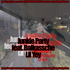 Junkie Party (feat. Assche)