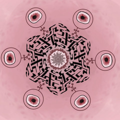 L’oiseau du paradis