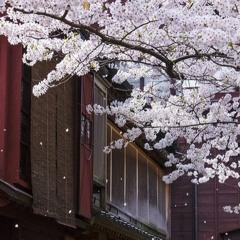 japanese trap beat [purrrple prod.]