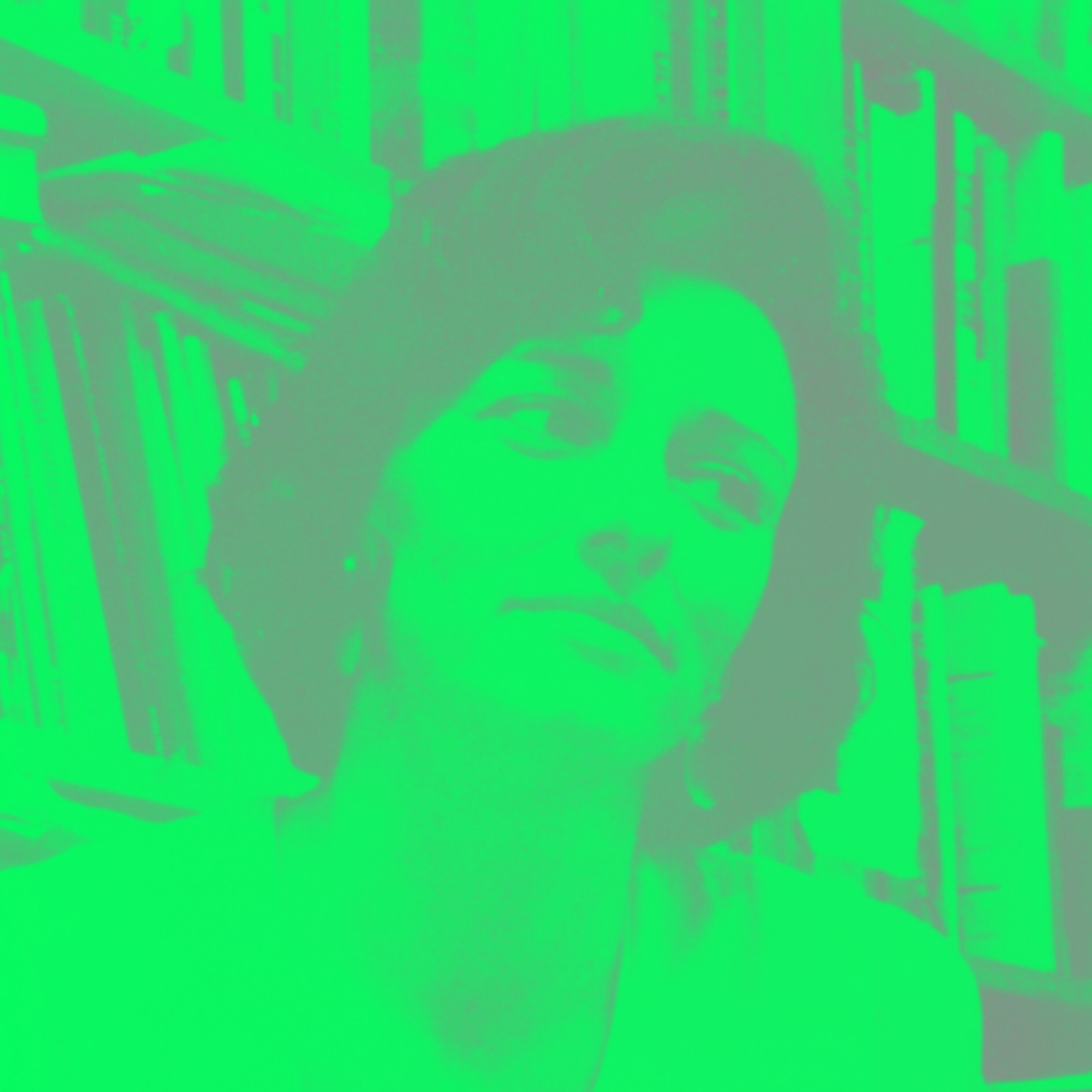 Folie, fureur et ferveur de Anne Sexton