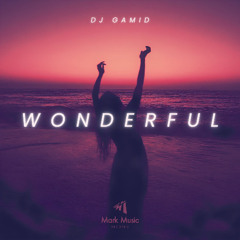 DJ Gamid - Wonderful