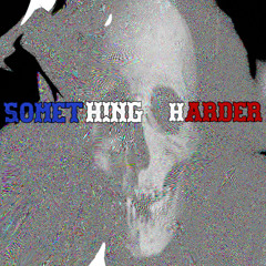 SOMETH!NG HARDER - phoenix fj