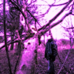 Tellerwäscher - Power Ghost