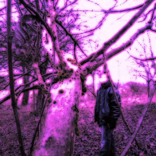 Tellerwäscher - Power Ghost