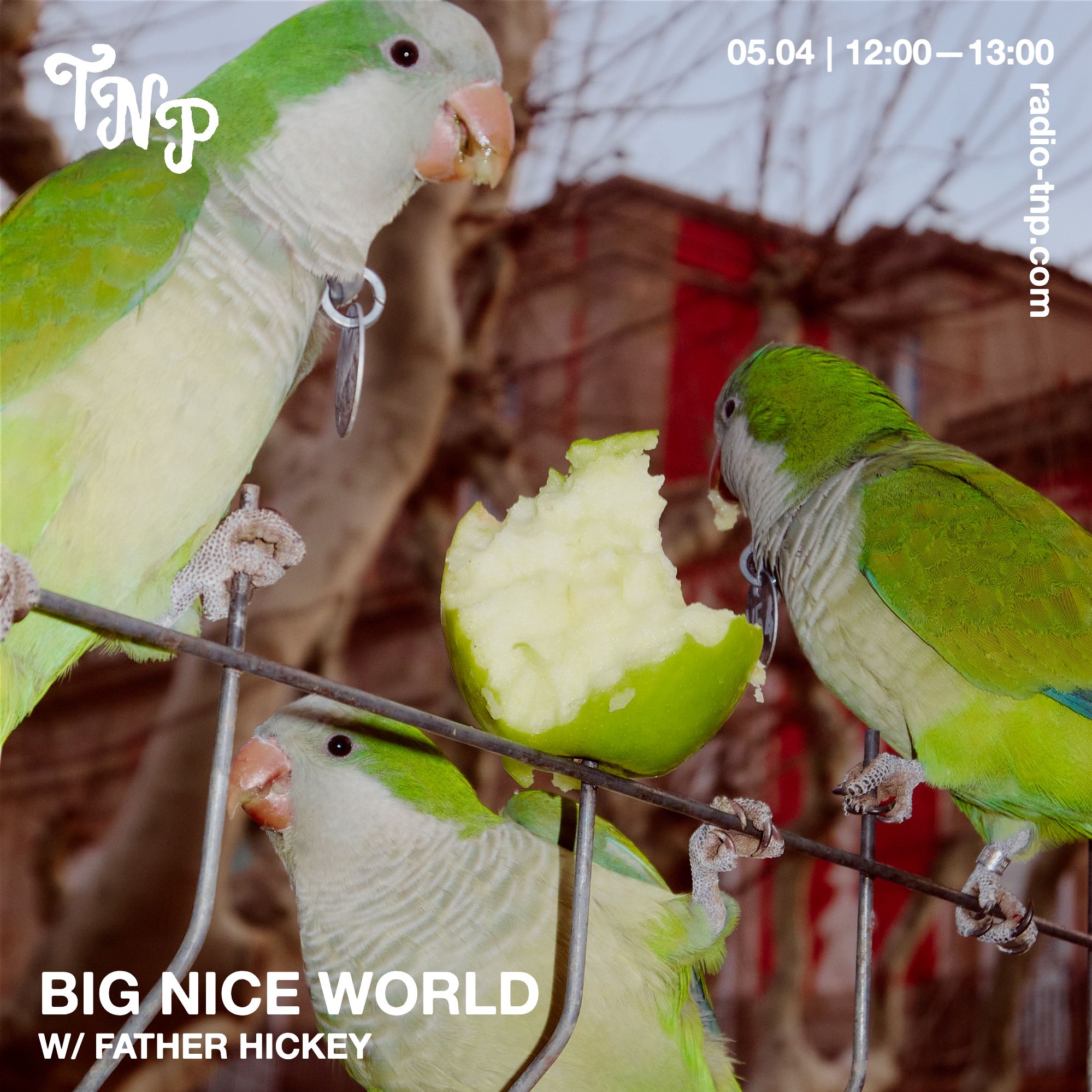 Big Nice World w/ Father Hickey