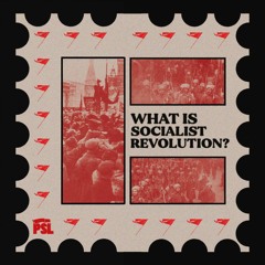 What does it take to make a socialist revolution?