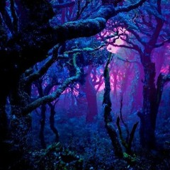 Darkway to Forest - DJ Set Luvielmo