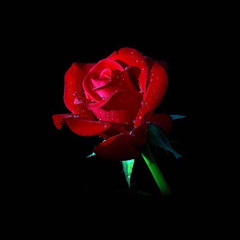 yoggi-Love$ick interlude slowed reverb