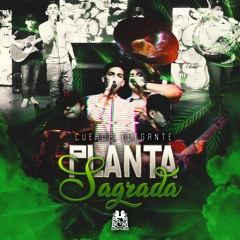 corridos tumbado