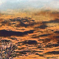 felted fog