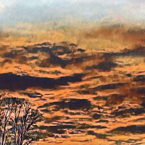 felted fog