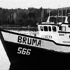 BRUMA