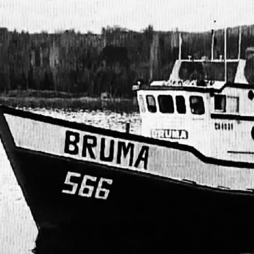 BRUMA