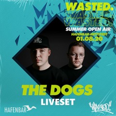 The Dogs @ WASTED. Summer Open Air 01.08.2020