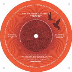 Wipe The Needle & Josh Milan - Tenderly (North London Bounce Mix) LIMITED 12" VINYL
